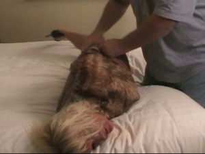 www.ivanboulder.com -  Danni: Extramarital Transgressions‏ thumbnail